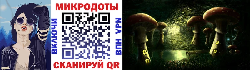 Галлюциногенные грибы ЛСД  как найти   Майский 